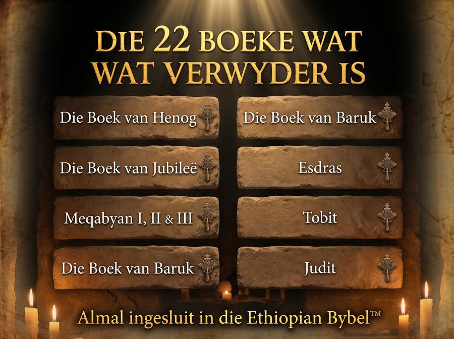 Die 22 Verlore Boeke